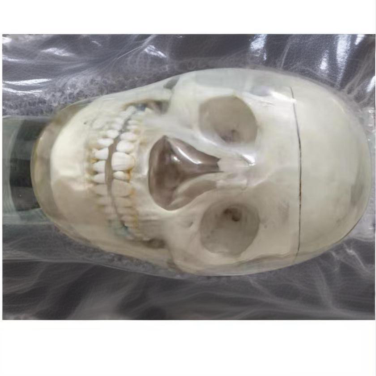 高級(jí)仿頭模系統(tǒng)