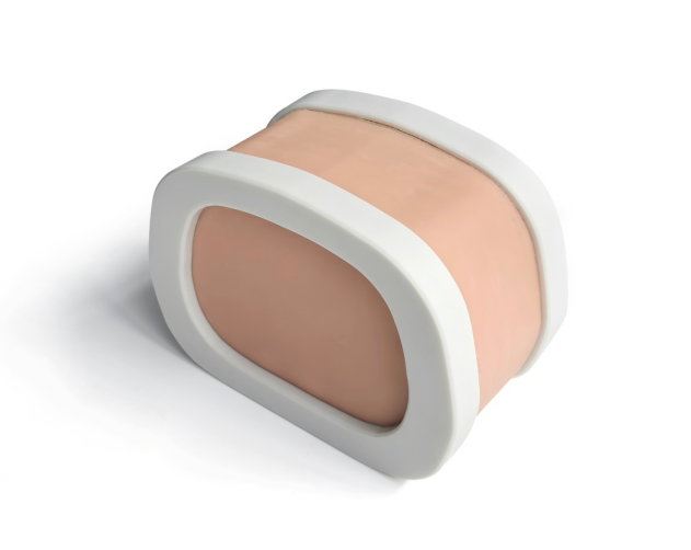 前列腺訓(xùn)練模體